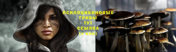 спиды Каменка