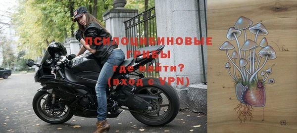 марки lsd Каменногорск