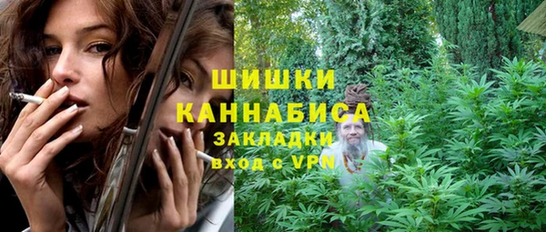 спиды Каменка